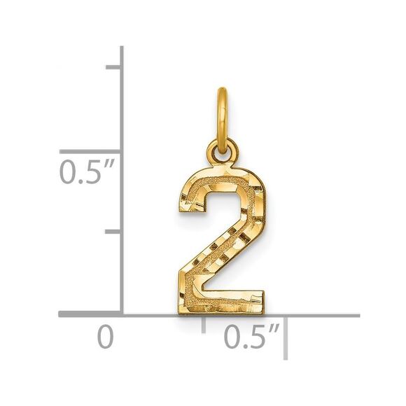 14k Yellow Gold, Varsity Collection, Small D/C Pendant Number 2 - Picture 4 of 5